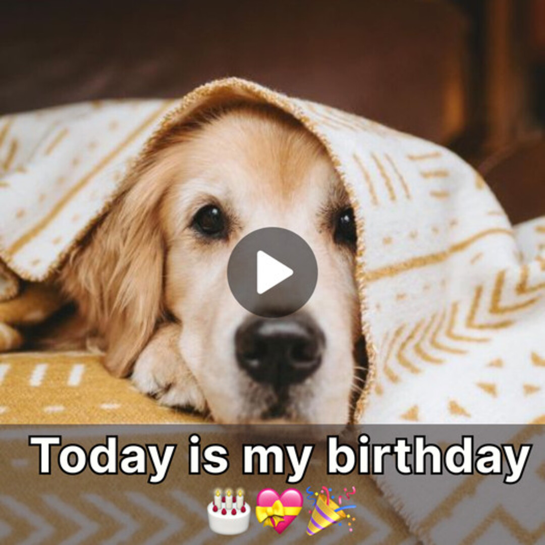 Today is my birthday , my companion and I are very happy, but until now we still haven’t received any wishes