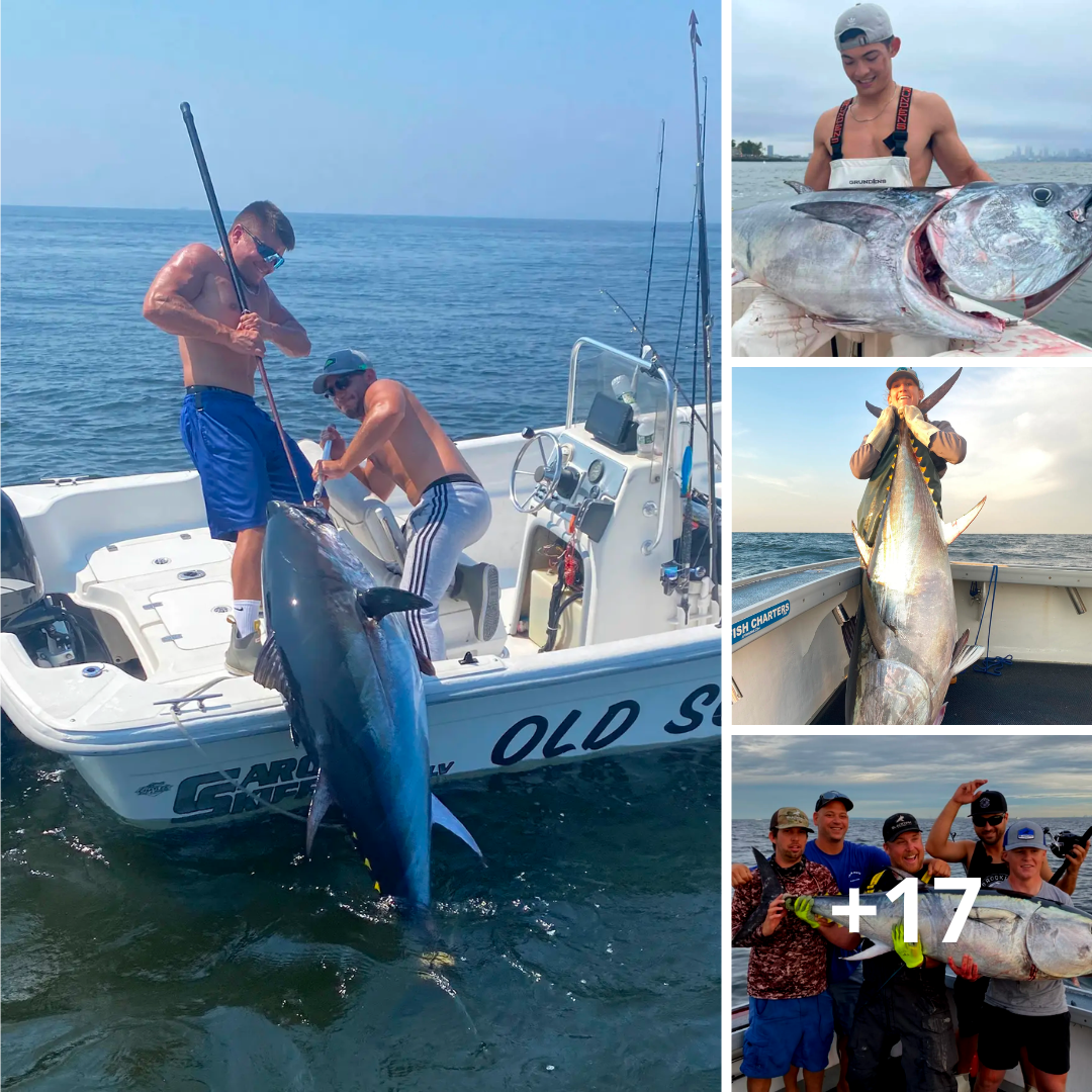 Rare nautical phenomenon: Massive 200- to 600-pound Atlantic tuna are swimming inshore, off NYC, prompting hundreds of Big Apple anglers to venture out for their first shot at bluefin gold