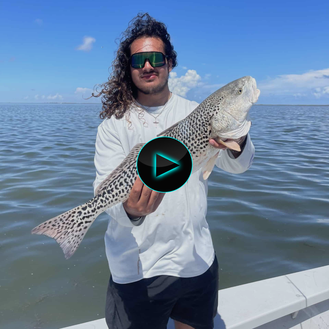 ‘1% in the world’ – Angler Catches Rare Leopard Redfish