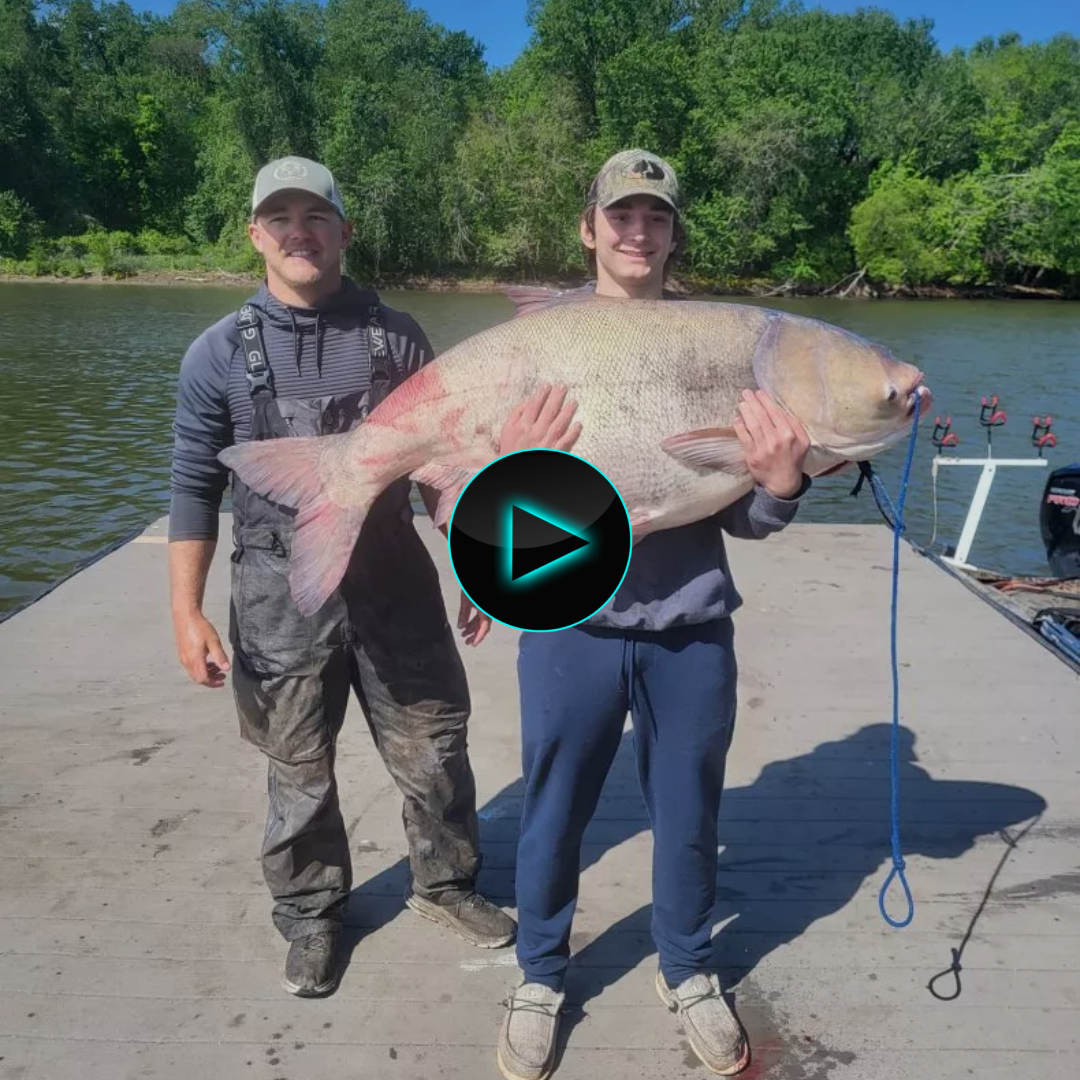 An Oklahoma angler is hoping to make a new state record after snagging a “beast” bighead carp, weighing over 110 pounds