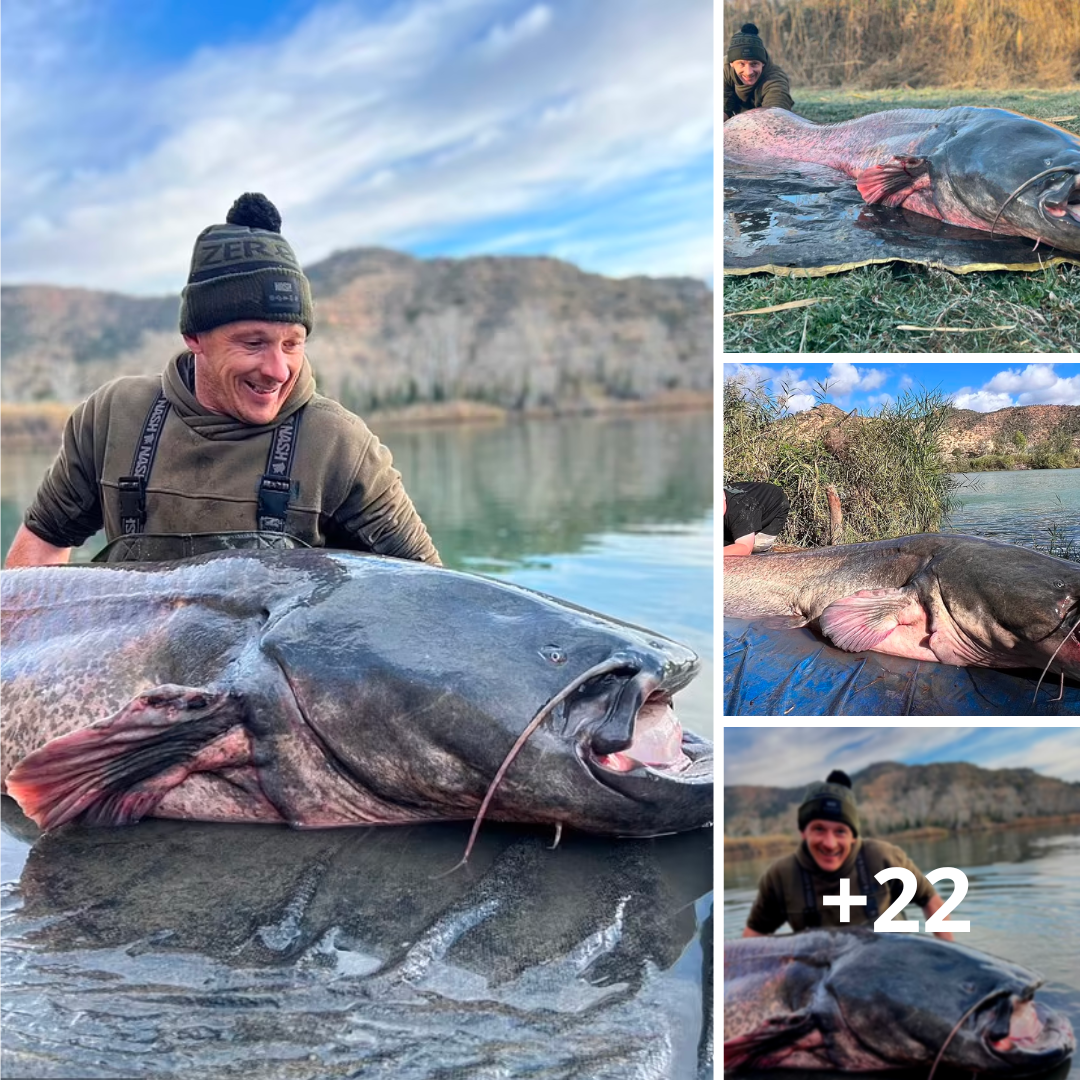Brit catches giant 222lb catfish after battle sees beast drag his boat half a mile